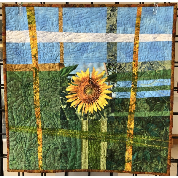 #FLOWEROFTHEDAY
by Sandi Goldman